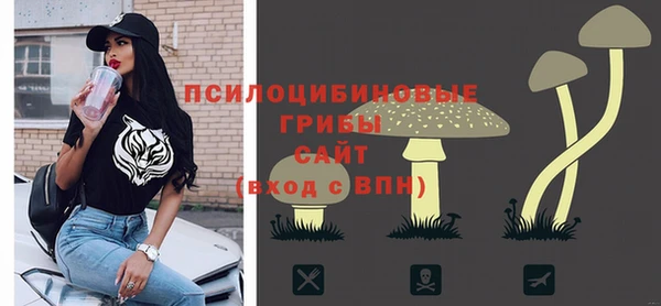 мдпв Бронницы