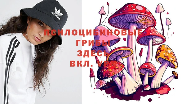 MESCALINE Бородино