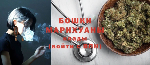мдпв Бронницы